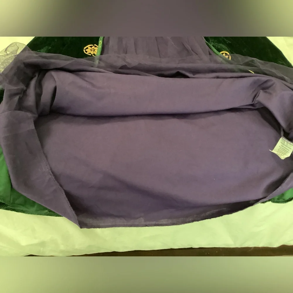 Hocus locus Disney costume